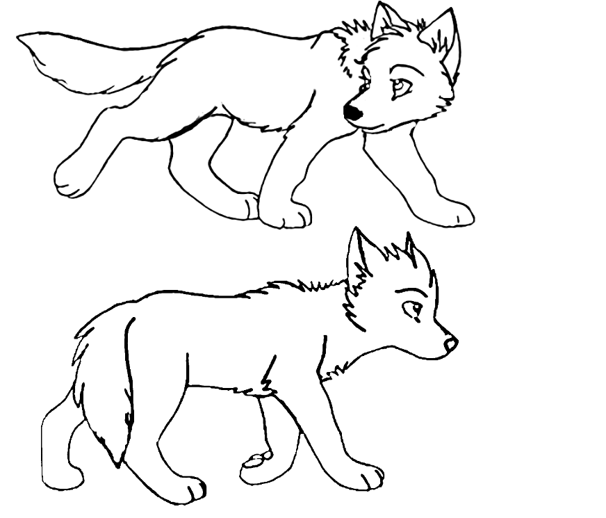 anime wolf pup drawings