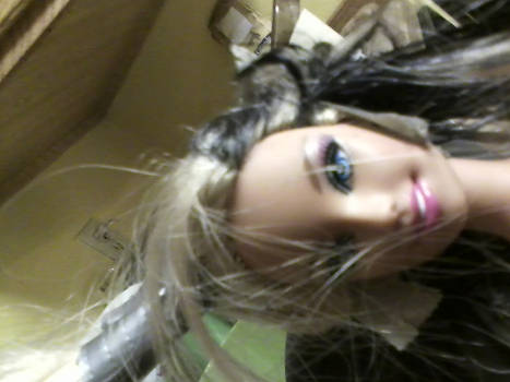 what barbie puts up with-1