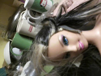 what barbie puts up with-2