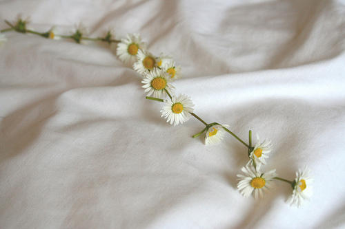 daisy bracelet 2