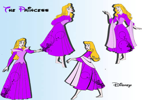 Disney: Nice Princess