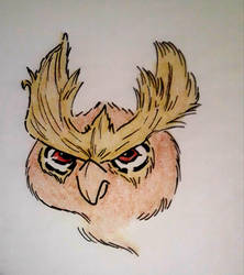 Noctowl