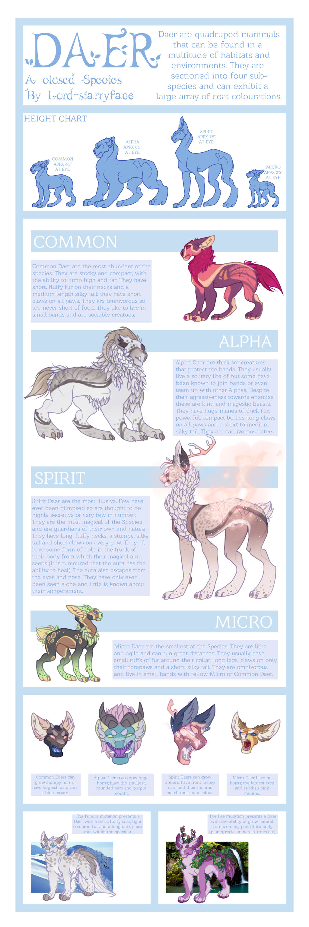 Daar Types Daer Species Guide by Lord-StarryFace on DeviantArt