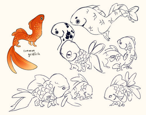Goldfish Dragon Sketches