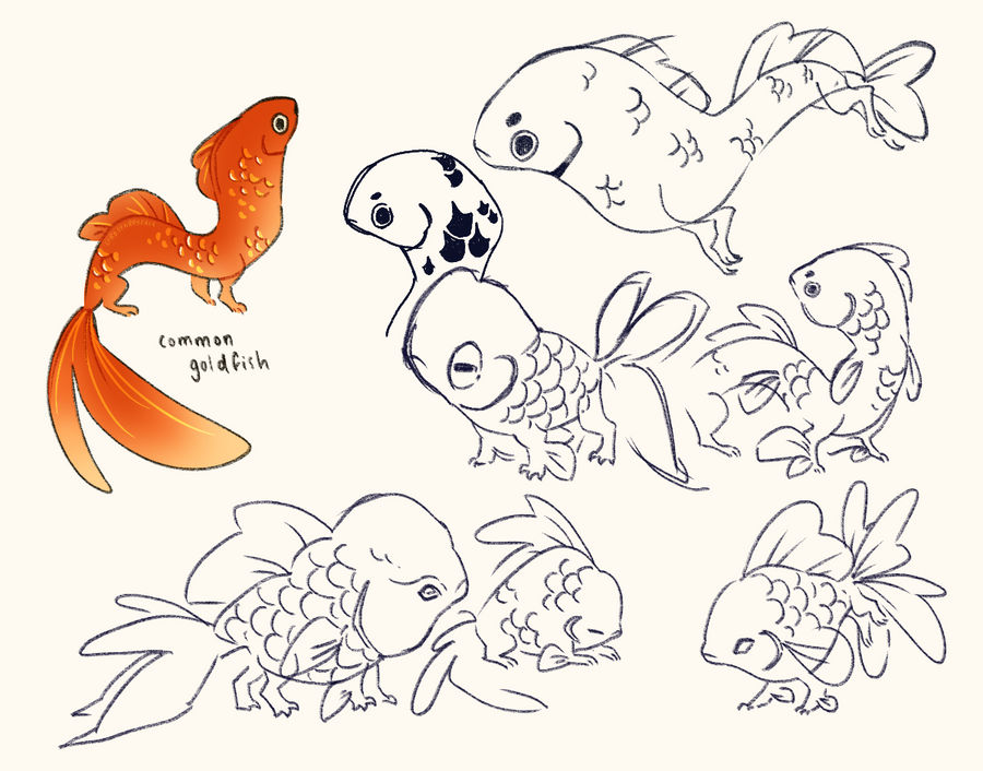 Goldfish Dragon Sketches