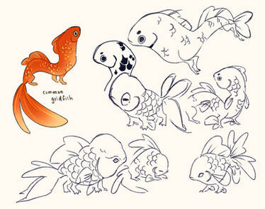 Goldfish Dragon Sketches