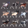 Piebald Moose Adoptables!!