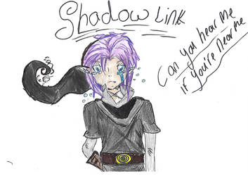 Shadow link