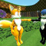 Klonoa And Tails !