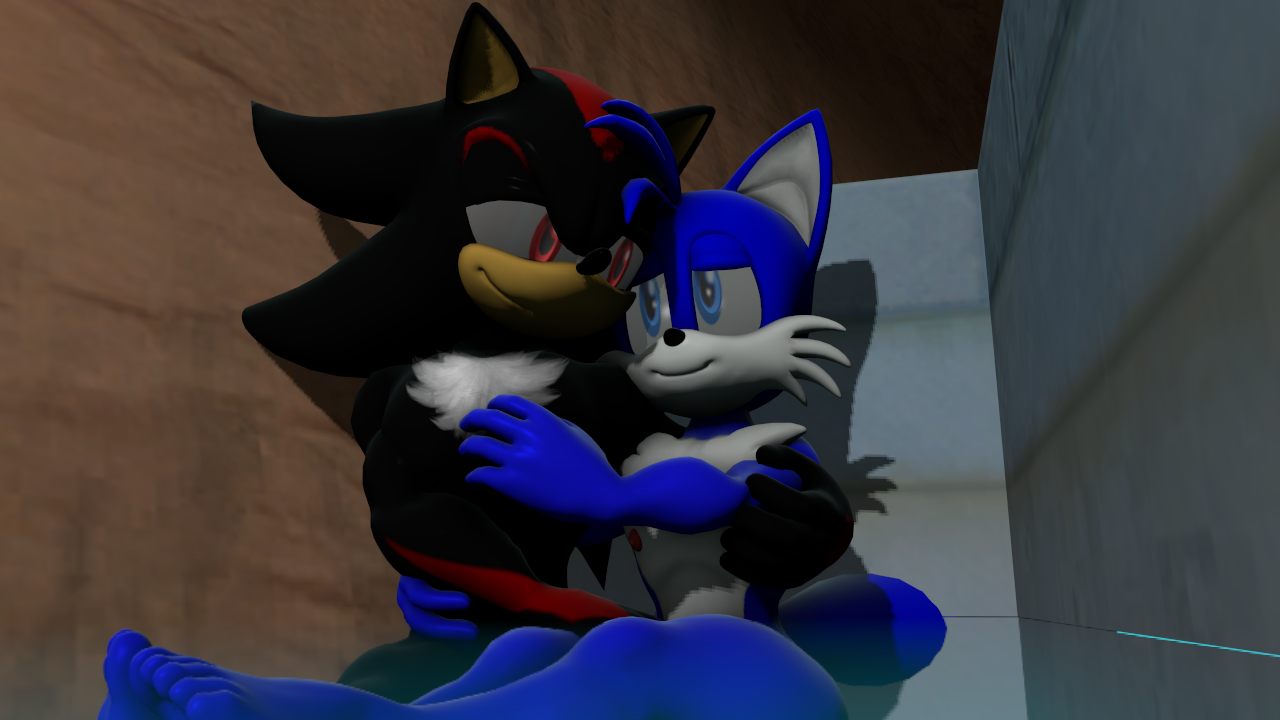 Sonic, Shadow & Silver Go To The Beach (VR Chat) 