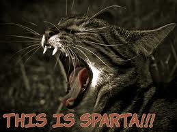 THIS IS SPARTA!!