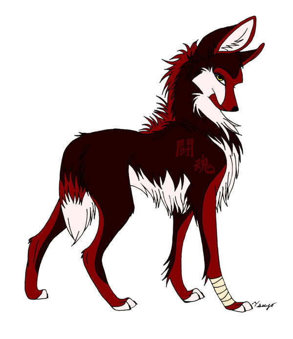 Really cool Anime wolf drawing by DerpTheWolf101 on DeviantArt Really cool Anime wolf drawing by DerpTheWolf101 on DeviantArt