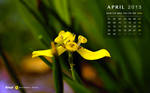 Free Wallpaper Calendar of April 2013