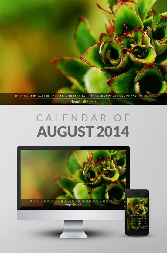 Freebie: Wallpaper Calendar of August 2014
