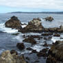 Point Lobos 2