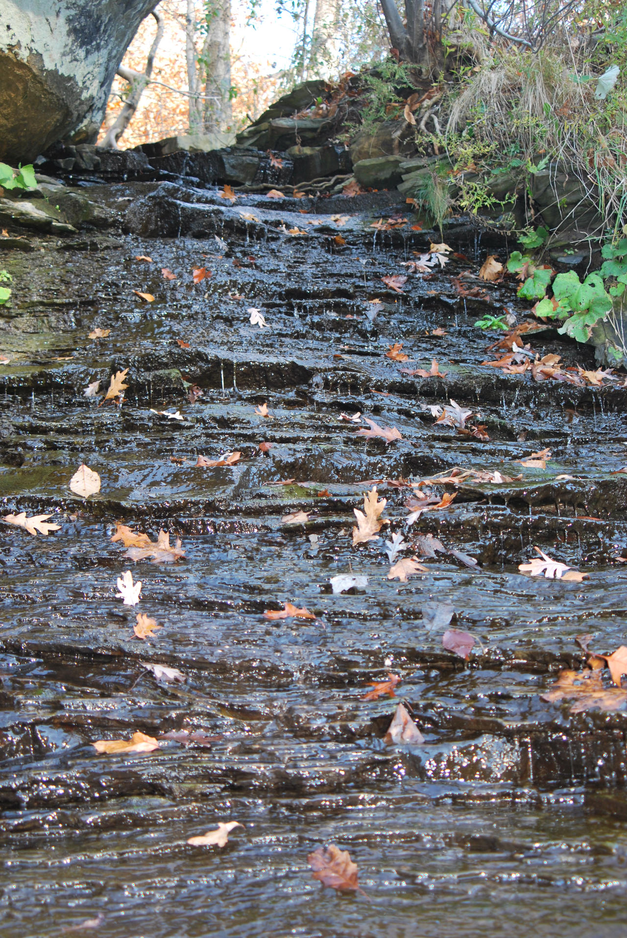 Autumn at the Gorge