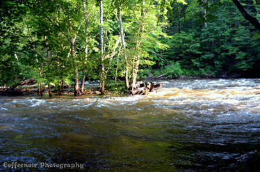 Island in the Stream