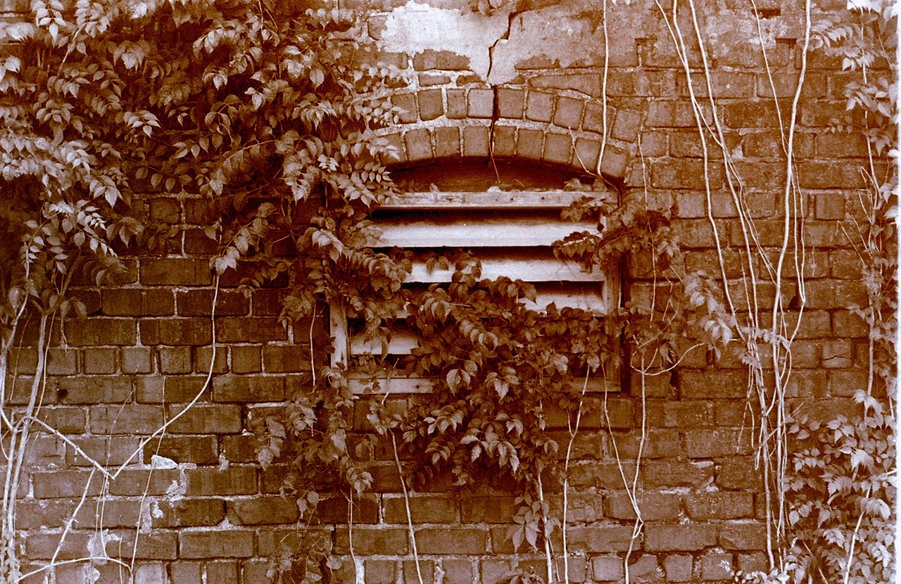 Sepia Window Vent