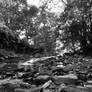 Little Cuyahoga River B and W