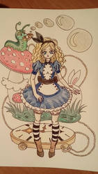 Alice in the wonderland