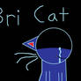 The Bri Cat