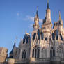 Cinderella Castle-  Disney