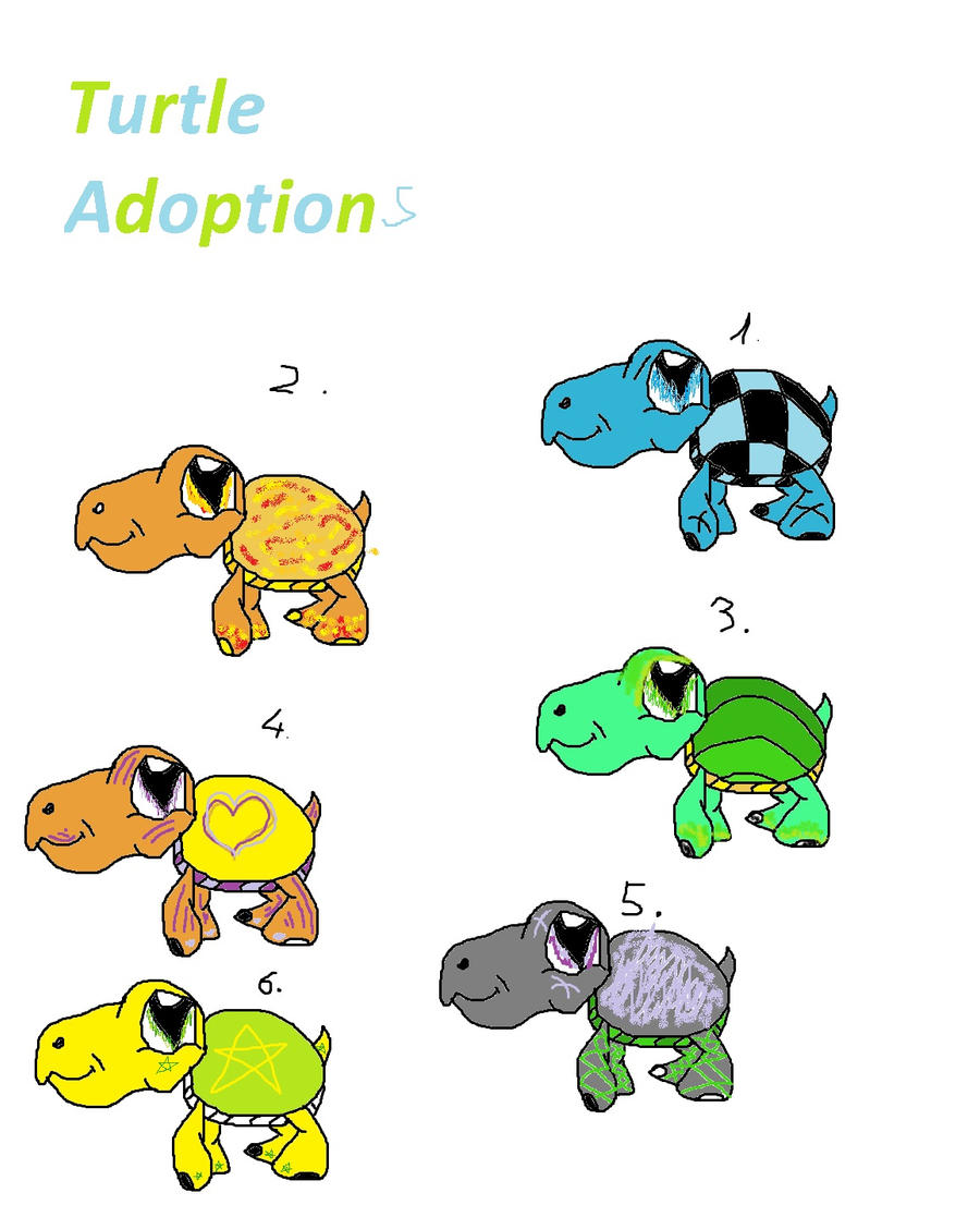 Turtle adoptions