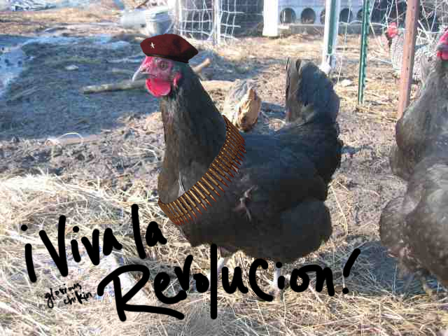 GLORIOUS CHIKIN REVOLUTION