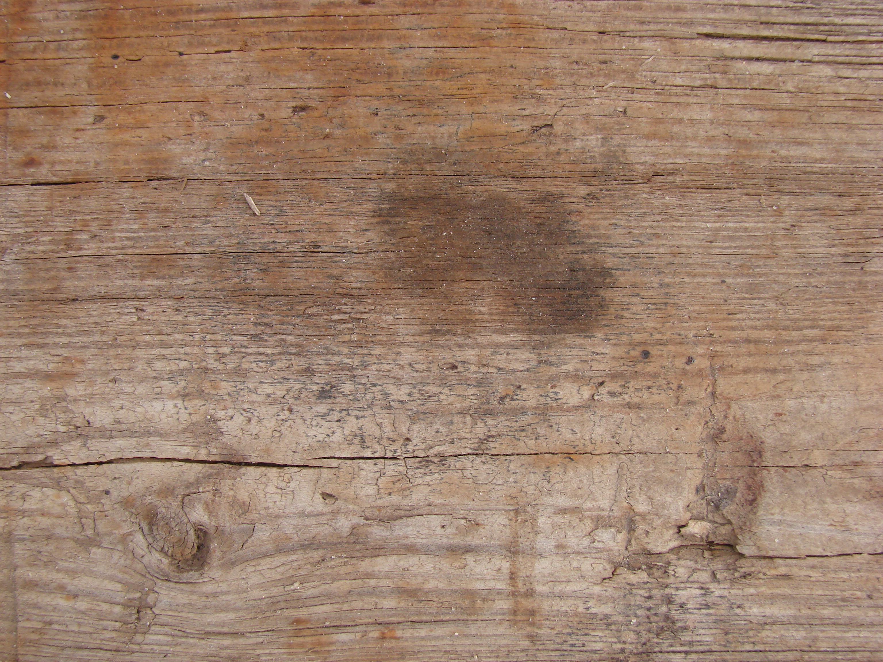 Wood