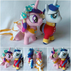 Wedding Shining Armor and Princess Cadance