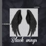 +Pack Black wings png