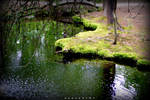 no water by alahay
