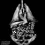 Anatomia