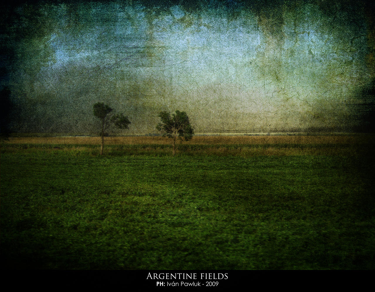 Argentine fields