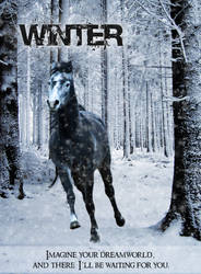 Winter - TwilightMyst