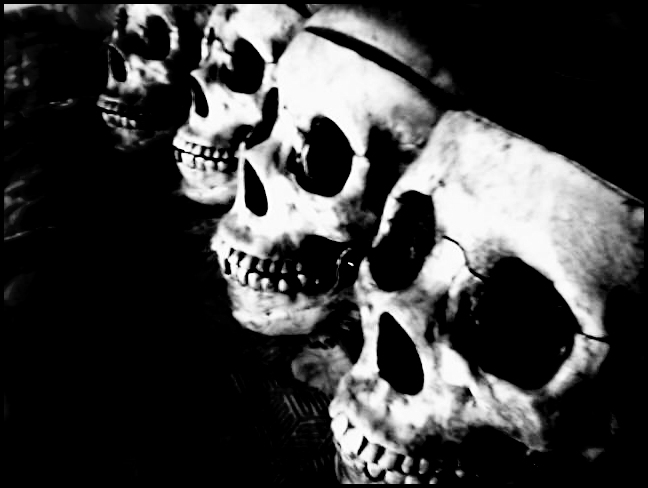 skulls