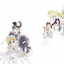 Sailor Moon: Wedding Day Bliss