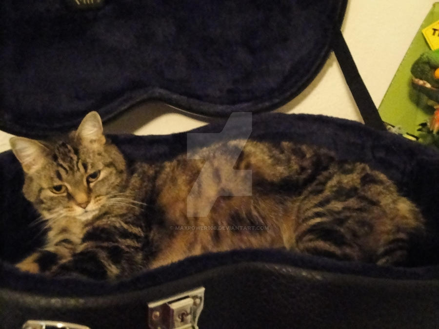 LittlestOne in Guitar Case