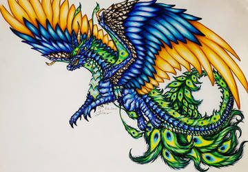 ~ Peacock Dragon ~