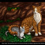 Jaykit and Leafpool