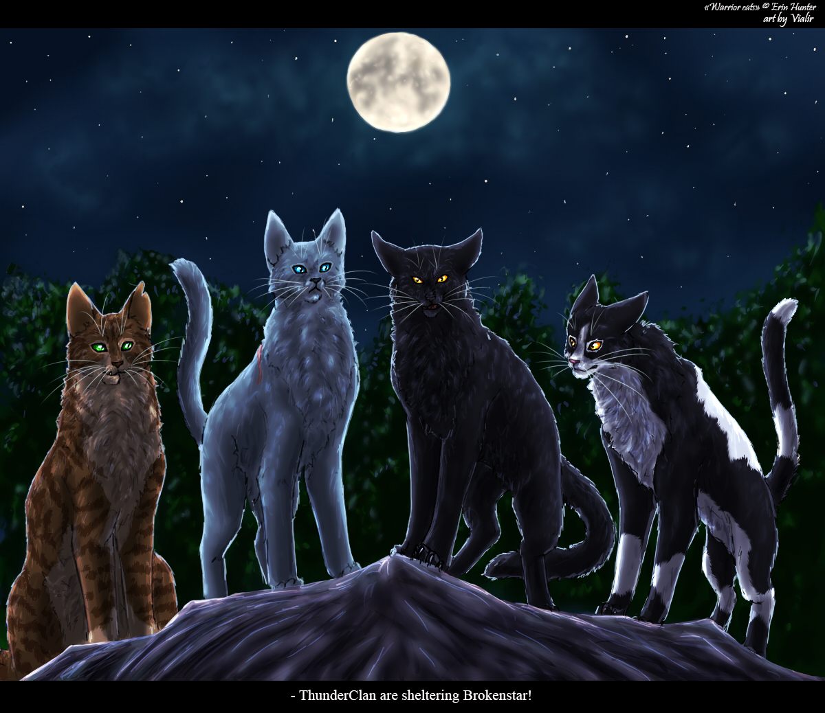 Bluestar by Nightryx.deviantart.com on @DeviantArt