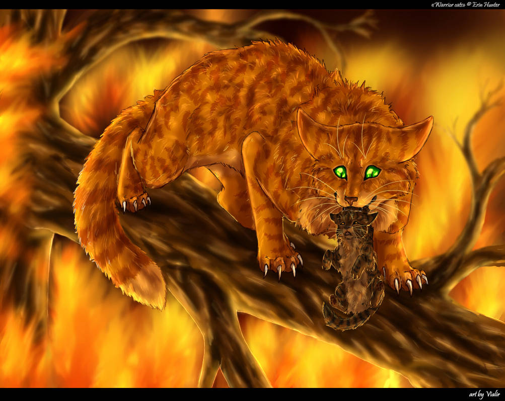 Fireheart and Bramblekit by Vialir on DeviantArt Fireheart and Bramblekit by Vialir on DeviantArt