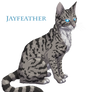 Jayfeather