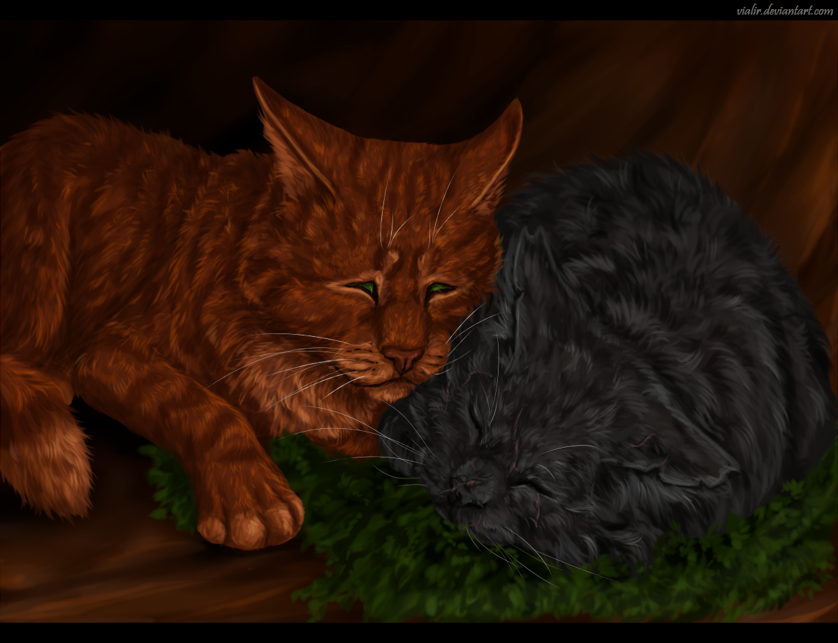 wallpapers Yellowfang Death Scene yellowfang s death by vialir on deviantart