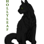 Hollyleaf