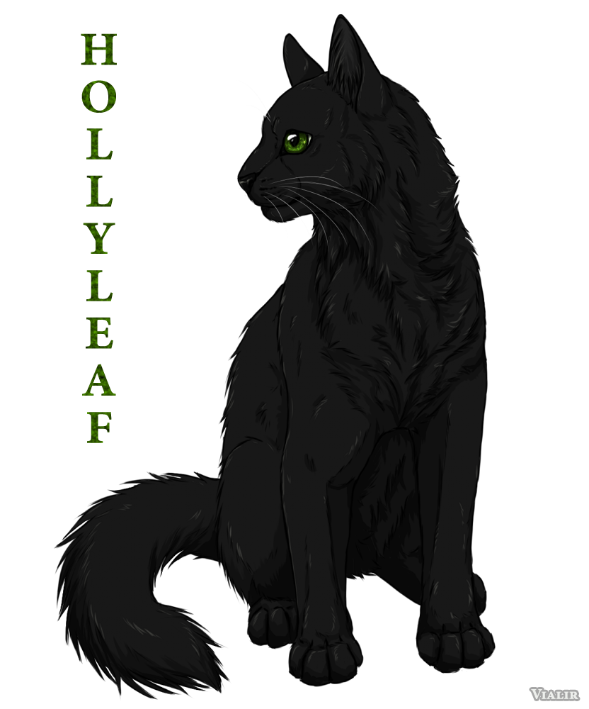 Hollyleaf