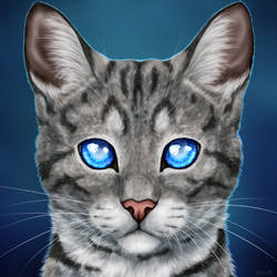 Jayfeather