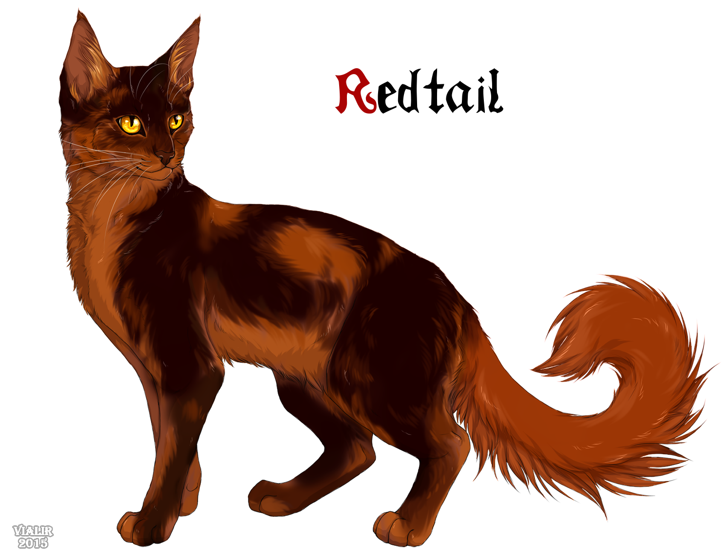 Redtail by Vialir on DeviantArt Warriors Cats. 