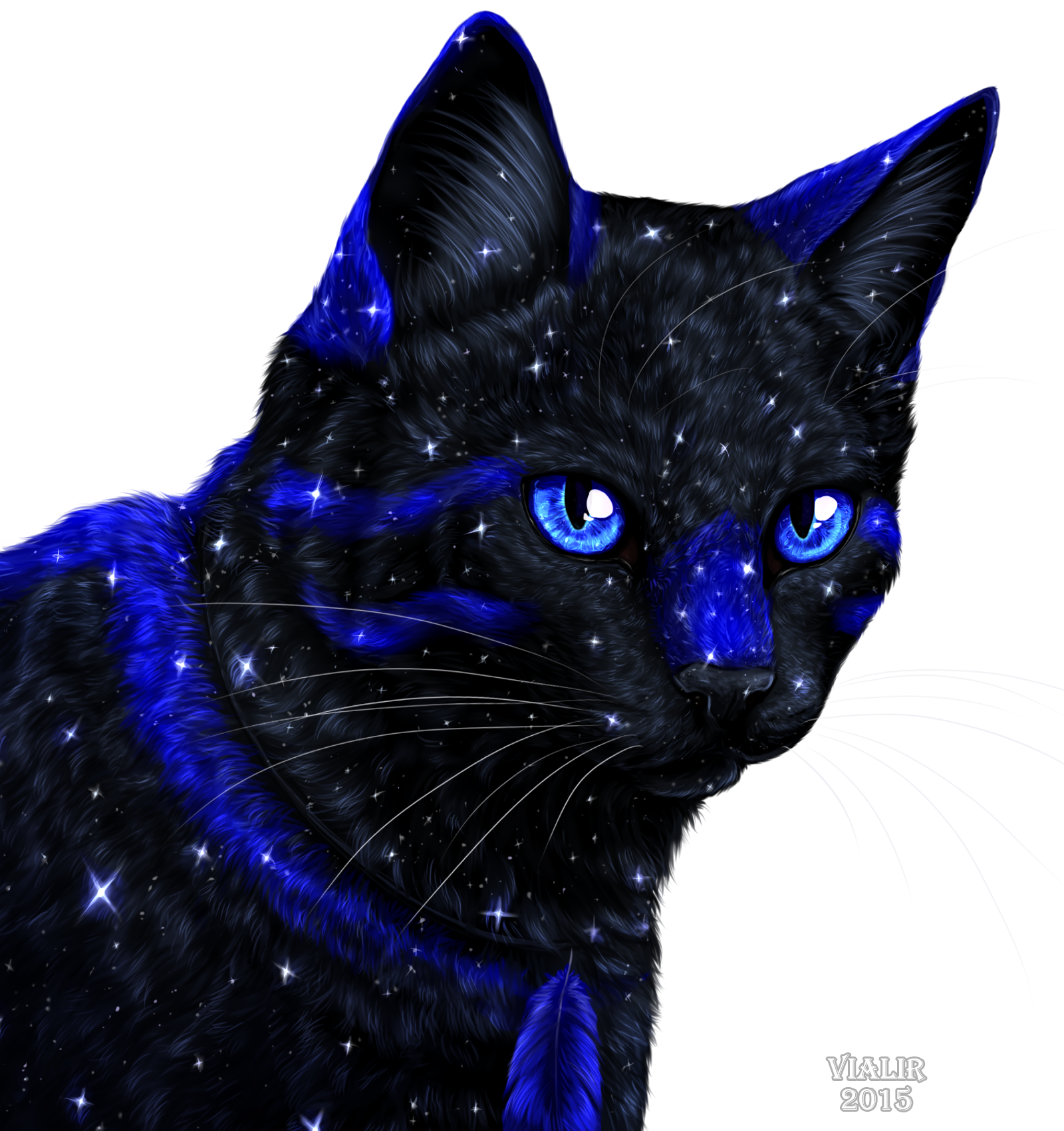 Warrior Cats Midnight Redo by BLlNK on DeviantArt