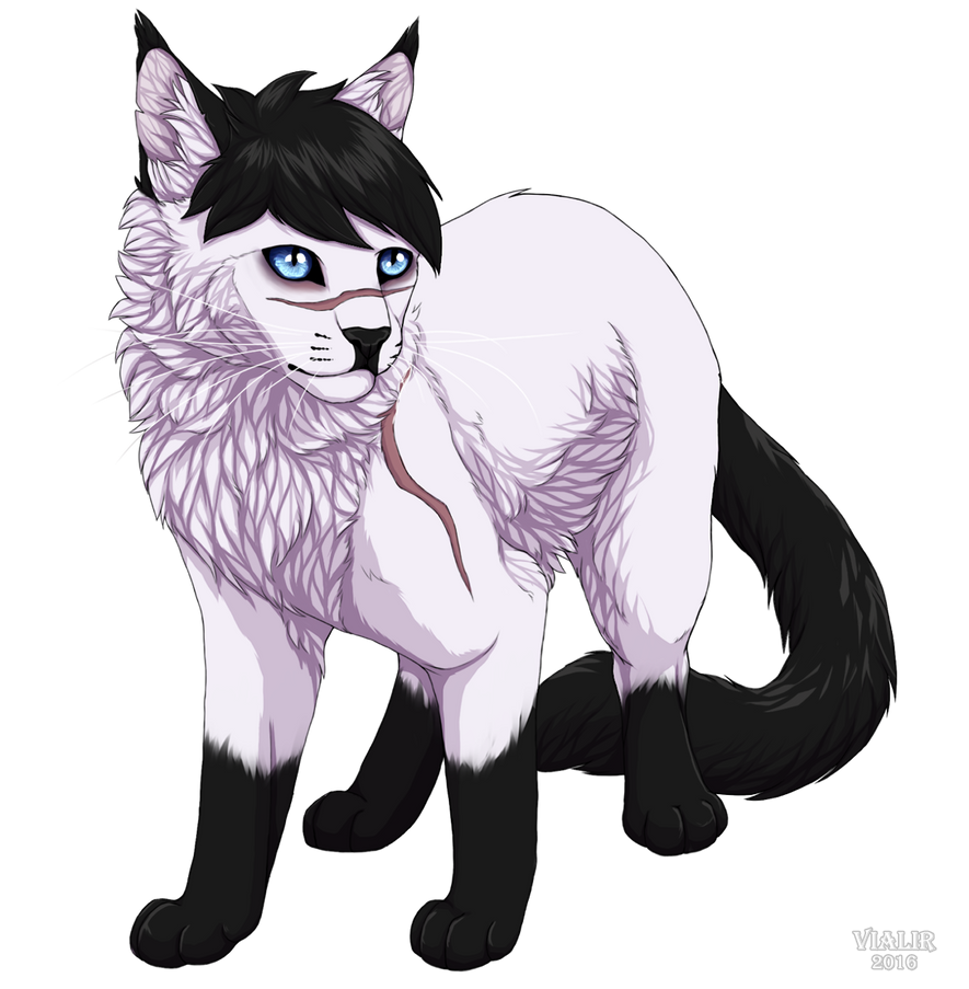 Lkitler Kitler by Vialir on DeviantArt